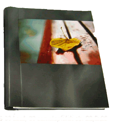 SAMOLEPÍCÍ album 60 stran - Leaf šedý