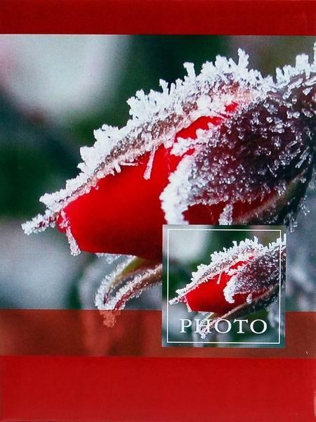 Mini album pro 100 fotek 10x15 nature1 červený