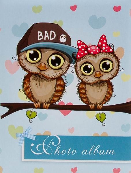 Mini album pro 100 fotek 10x15 Sova 1