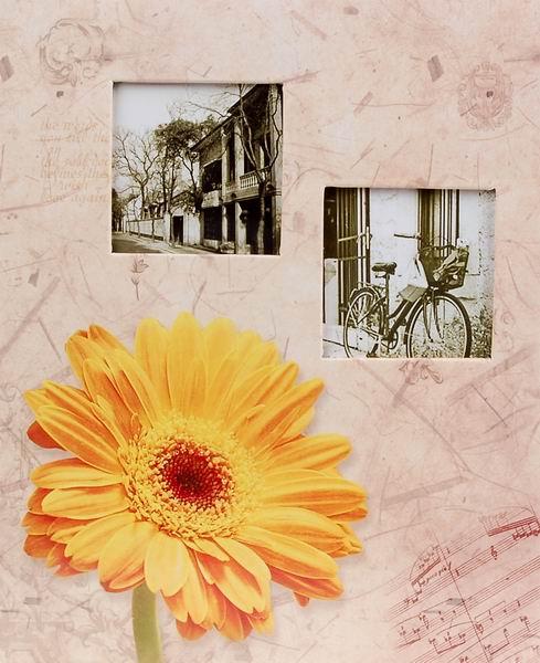 SAMOLEPÍCÍ album 60 stran Vellum 3 žlutá gerbera