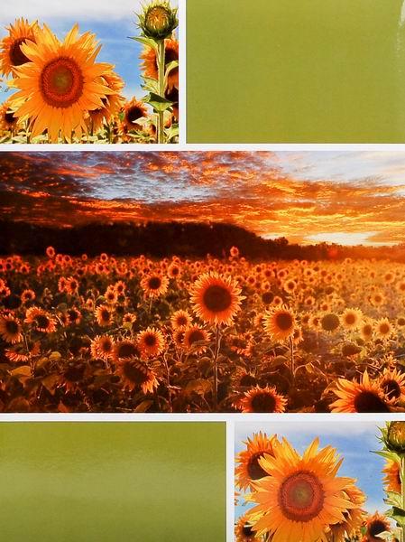 SAMOLEPÍCÍ album 40 stran  Sunrise zelený
