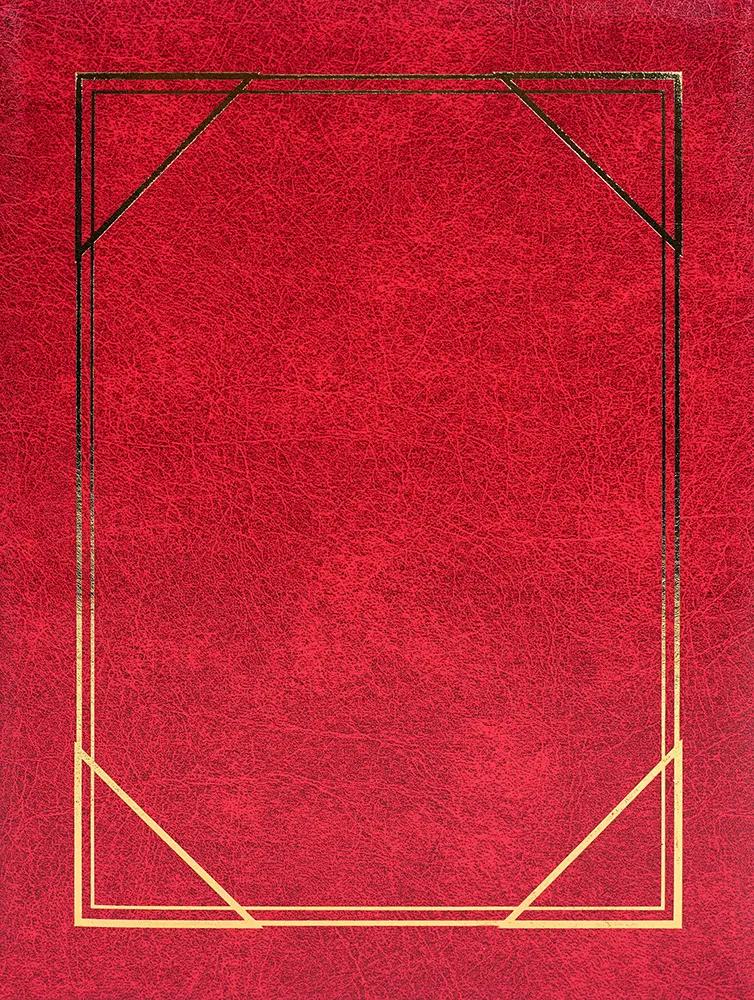 SAMOLEPÍCÍ album 40 stran - Vinyl vínové