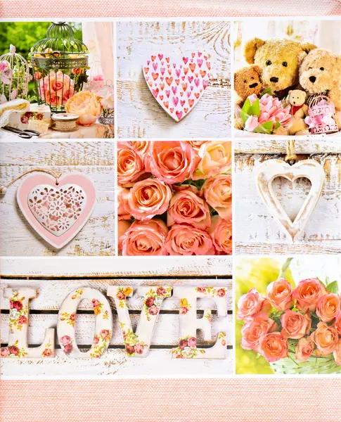 Album  10x15 pro 304 fotek Shape 1 losos