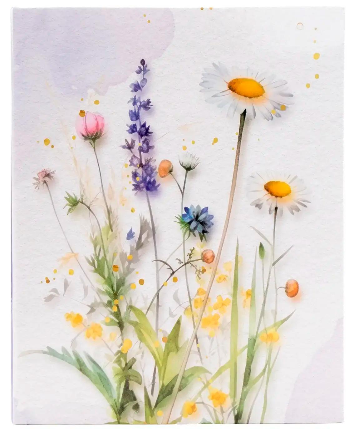 Album  10x15 pro 304 fotek Meadow 2