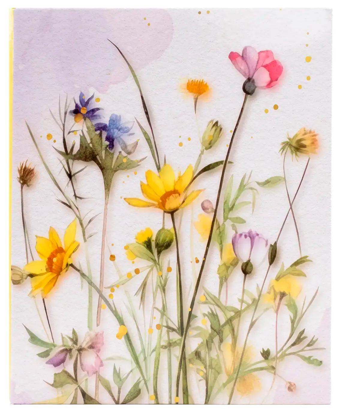 Album  10x15 pro 304 fotek Meadow 3