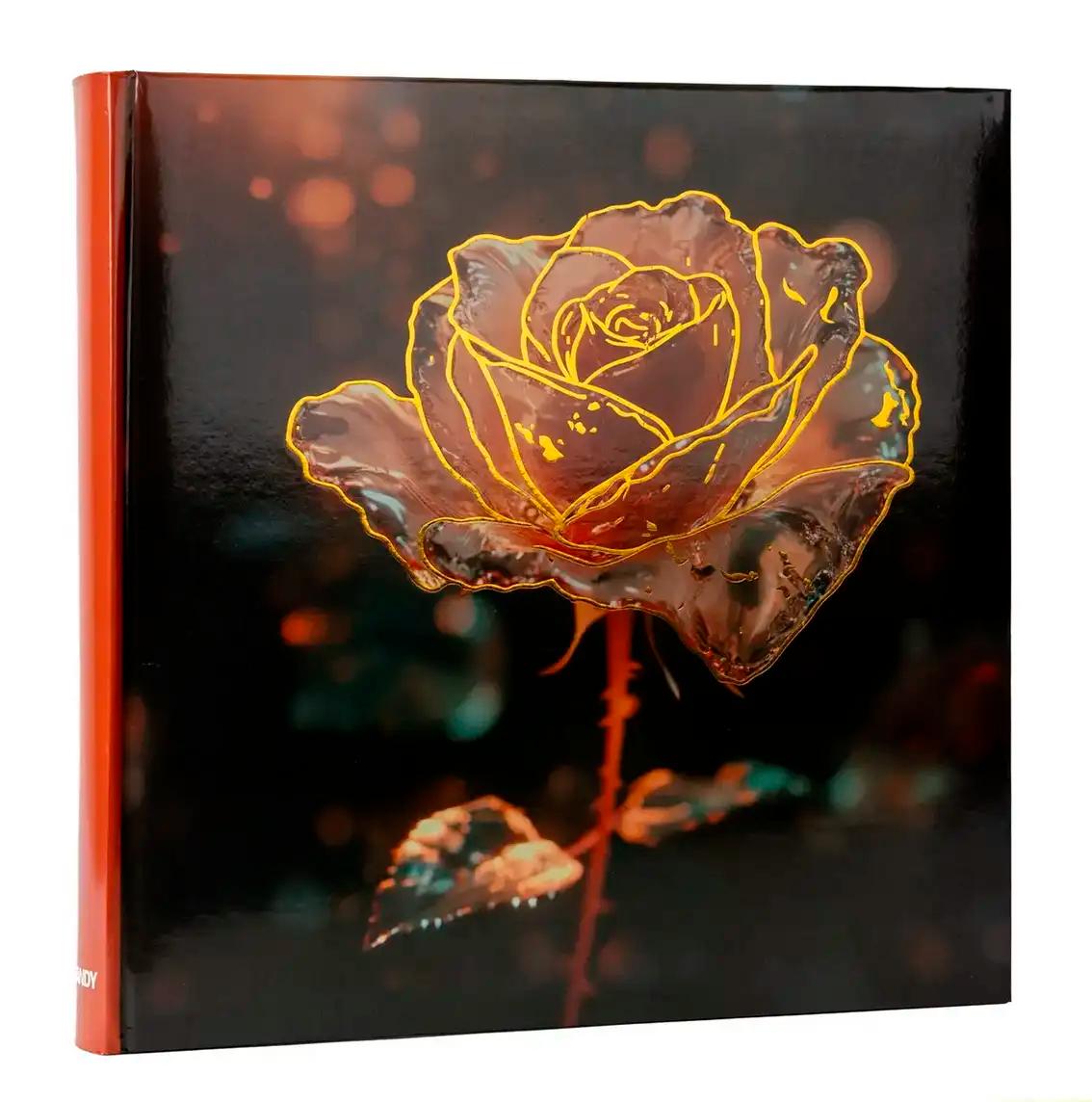 Fotoalbum pro 500 fotek 10x15 Frosty 1