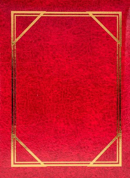 Mini album pro 100 fotek 10x15 Vinyl vínový - 2.jakost