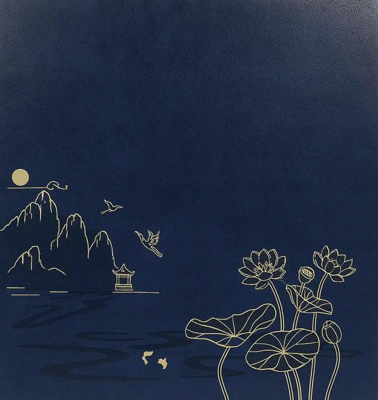 Fotoalbum 10x15 pro 1000 fotek Lotus-blue