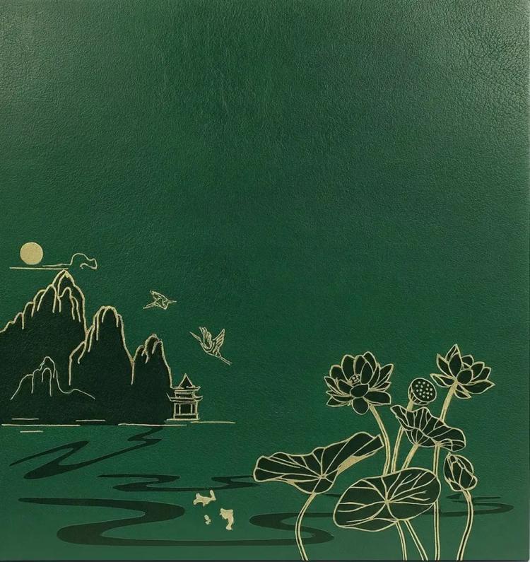 Fotoalbum 10x15 pro 1000 fotek Lotus-green