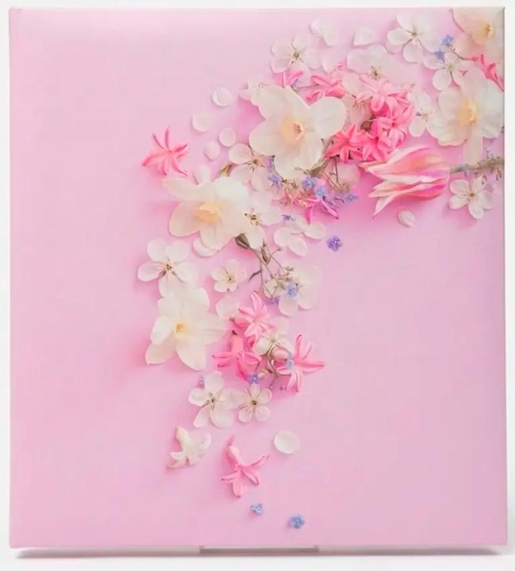 SAMOLEPÍCÍ album 100 stran SA-100 Pinka  růžové