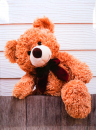 Album pro 200 fotek 10x15  Baby Bear 2