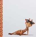 Album detský 100 stran Giraffe 5