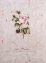 SAMOLEPIACE album 60 strán Soft 1