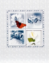 Album 13x18 pro 48 fotek Weding Butterfly