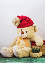 Album pre 200 fotiek 10x15 baby Bear 1
