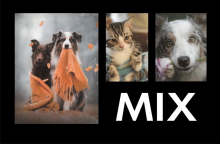 Minialbum 9x13 pro 24 fotiek Adore MIX