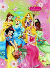 Samolepiace album 20 stráň - Disney - Pricezny