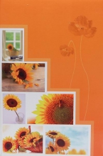 Fotoalbum 10x15 pre 300 fotografií Pastel Vase 1