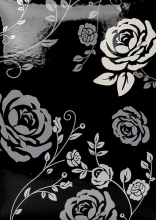 Fotoalbum 10x15 pro 300 fotografií Rose black