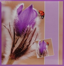 Fotoalbum 10x15 pre 500 fotiek Flower purple