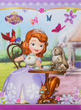 Samolepiace album 40 strán -  Disney Sofie