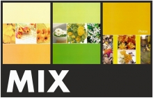 Minialbum 15x21 pro 36 fotek Pastel MIX
