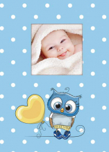 Fotoalbum 10x15 pre 300 fotografií Owls modrý