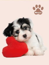 Mini album pre 100 fotiek 10x15 Plush 1 pes red