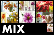 Minialbum 10x15 pre 36 fotek Welfare MIX