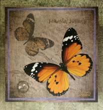 SAMOLEPIACE album 100 strán DRS50 Butterflies tmavý