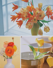 Fotoalbum 10x15 pre 200 fotiek Welfare 1 oranžový