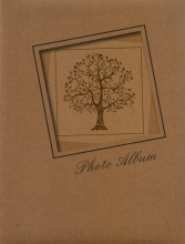 Mini album pre 100 fotiek 10x15  ECO strom
