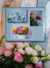 Fotoalbum 10x15 pro 300 fotografií   Flower Power 1 - tulipán