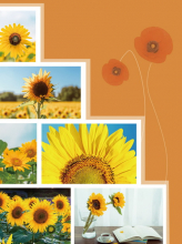 Mini album pre 100 fotiek 10x15 Calyx žltý