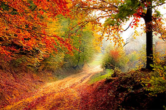 velkoformátové fotografie - krajina podzim