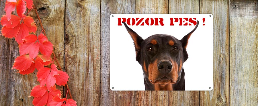 Plechová tabulka s fotkou psa