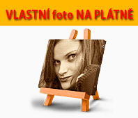 vlastní fotka na plátně