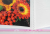 Mini album 10x15 pre 36 fotiek Elphi ružový